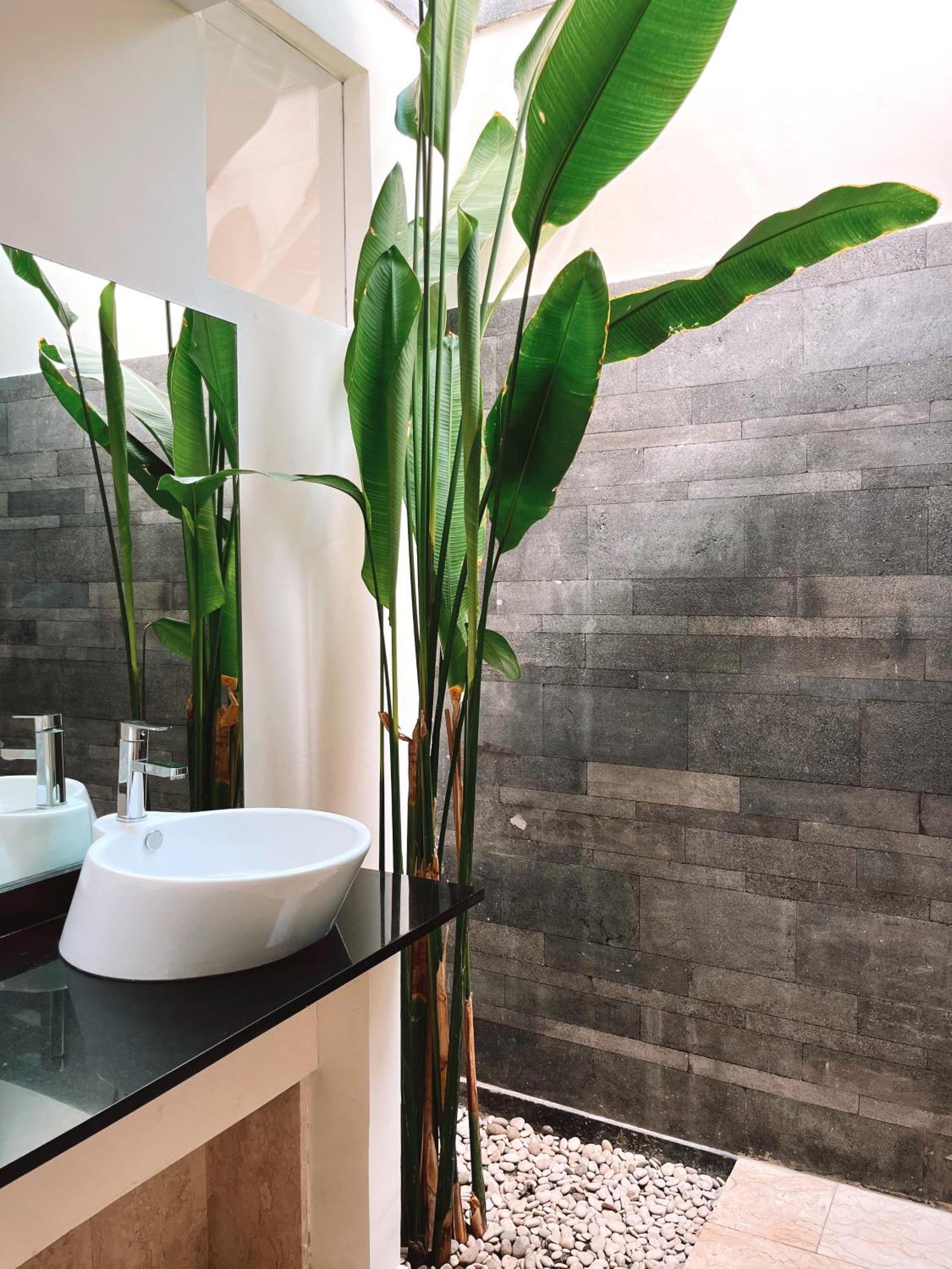 Aster Villa Seminyak المظهر الخارجي الصورة