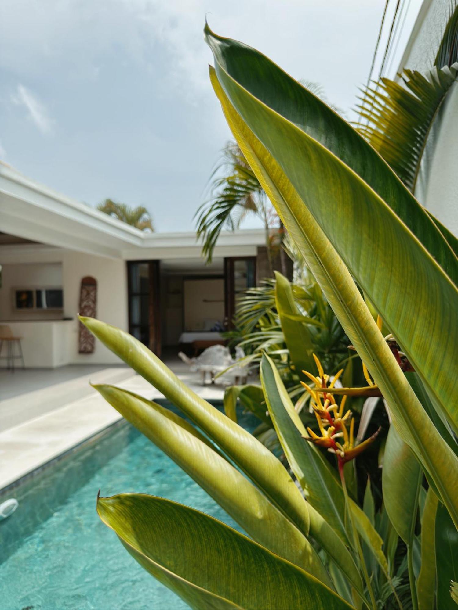 Aster Villa Seminyak المظهر الخارجي الصورة
